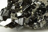 Gemmy Cassiterite Crystal Cluster - Viloco Mine, Bolivia #192180-2